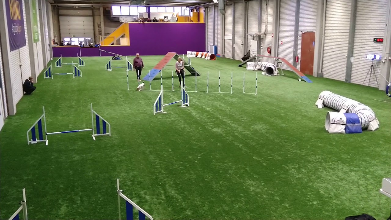 Muisku M1, aksa.NAS 9.3.2019 Jari Helin. HYL