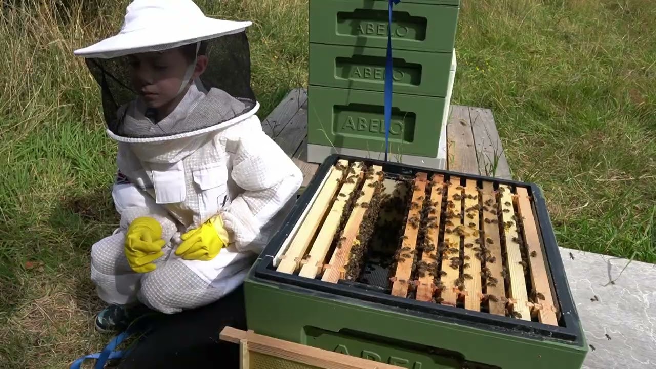 We find the queen! | Becoming a Beekeeper | Episode 13