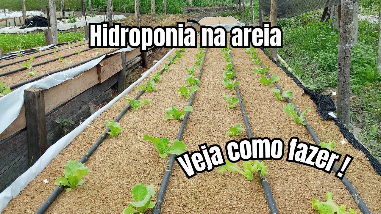 hidroponia na areia: Passo a passo da montagem  🥬