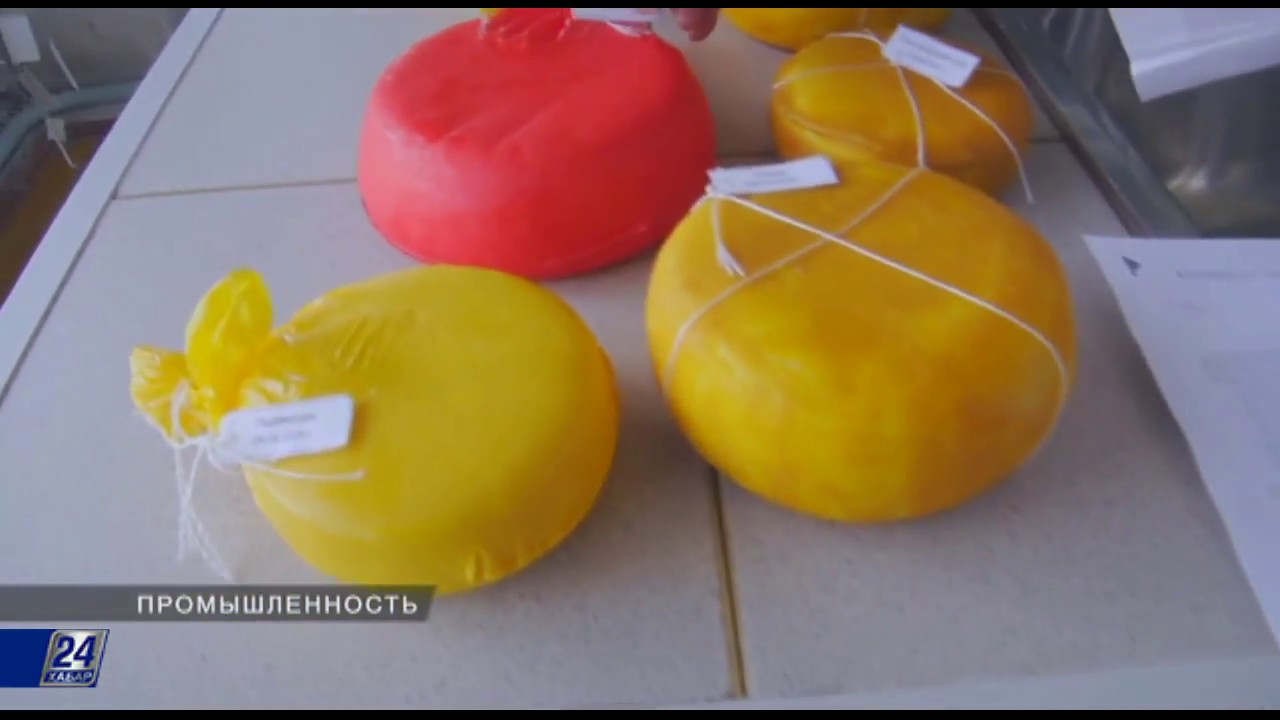 Сырная промышленность Казахстана