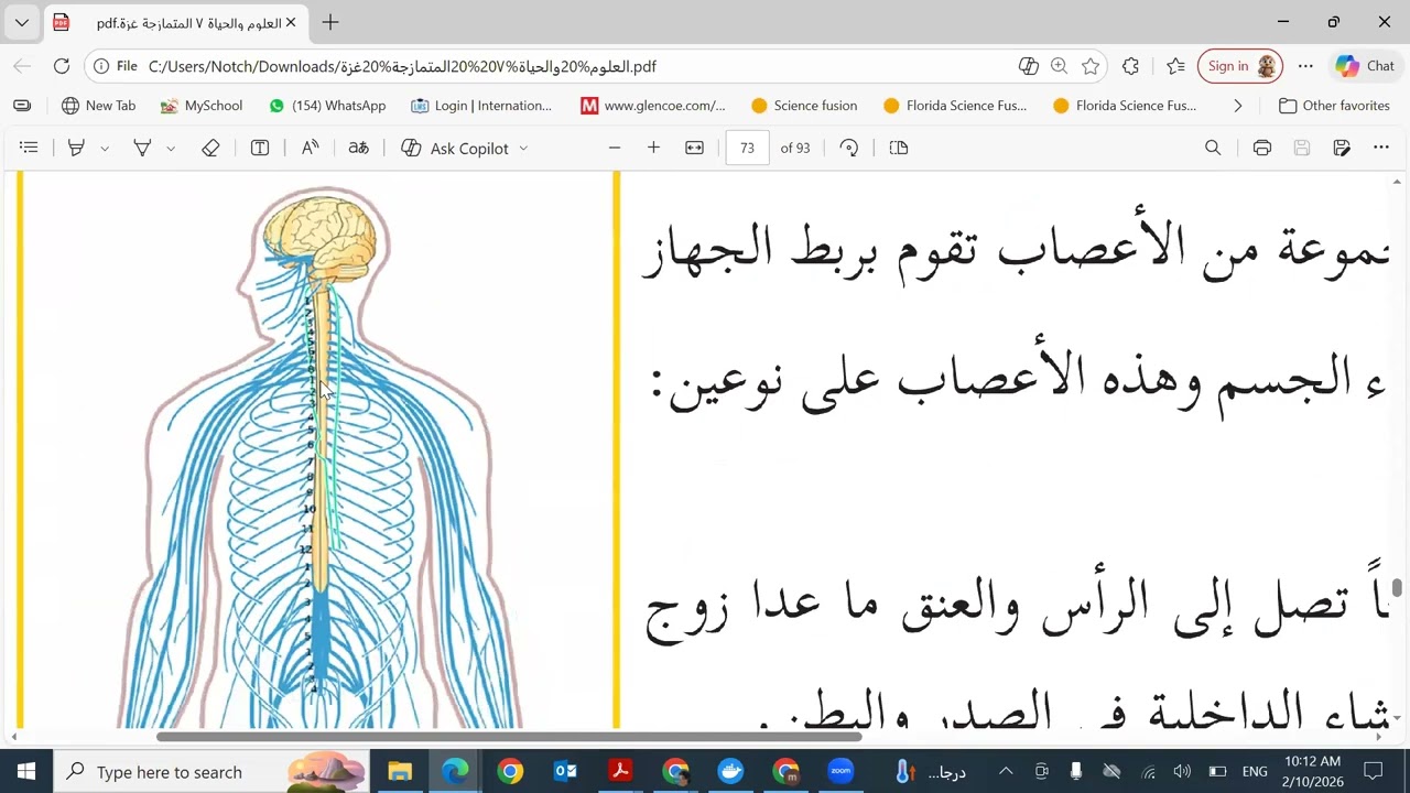 الصف السابع العلوم (الجهاز العصبي الطرفي) أ.منة إبراهيم 10_2_2026