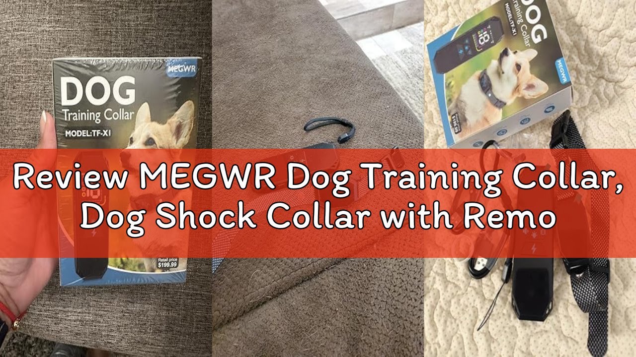 Review MEGWR Dog Training Collar, Dog Shock Collar with Remote Control, 2500FT and 4 Training Modes