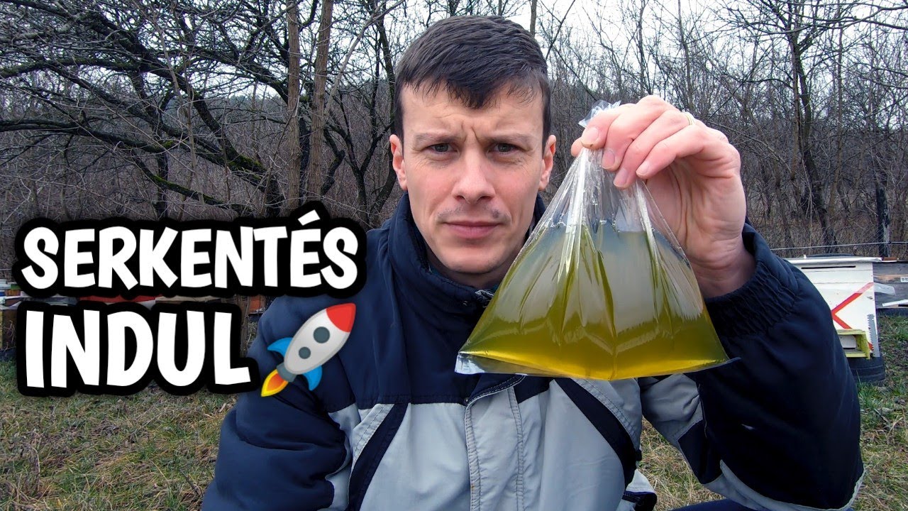 Méhésznapló #26 - Serkentés indul 🐝🚀