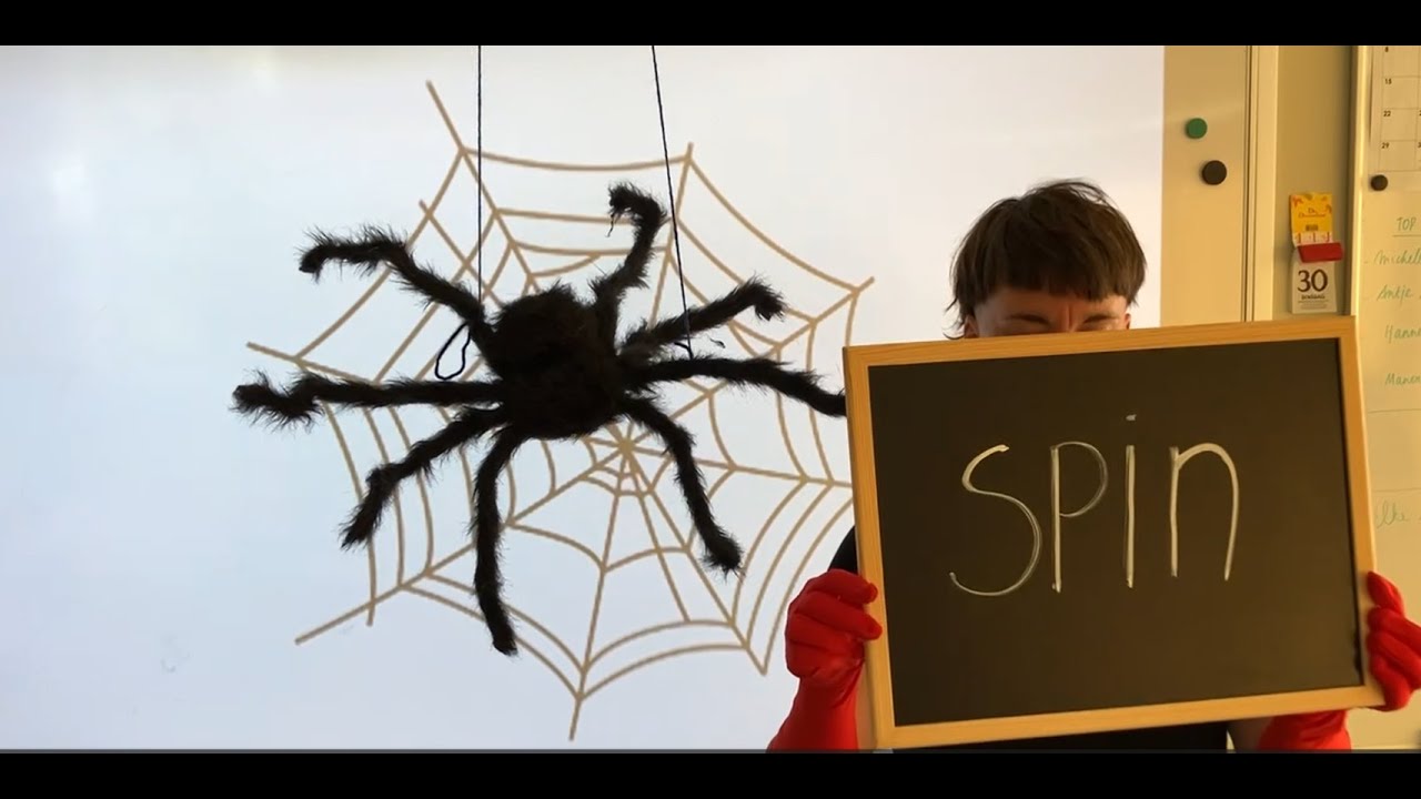 Sebastiaan de spin
