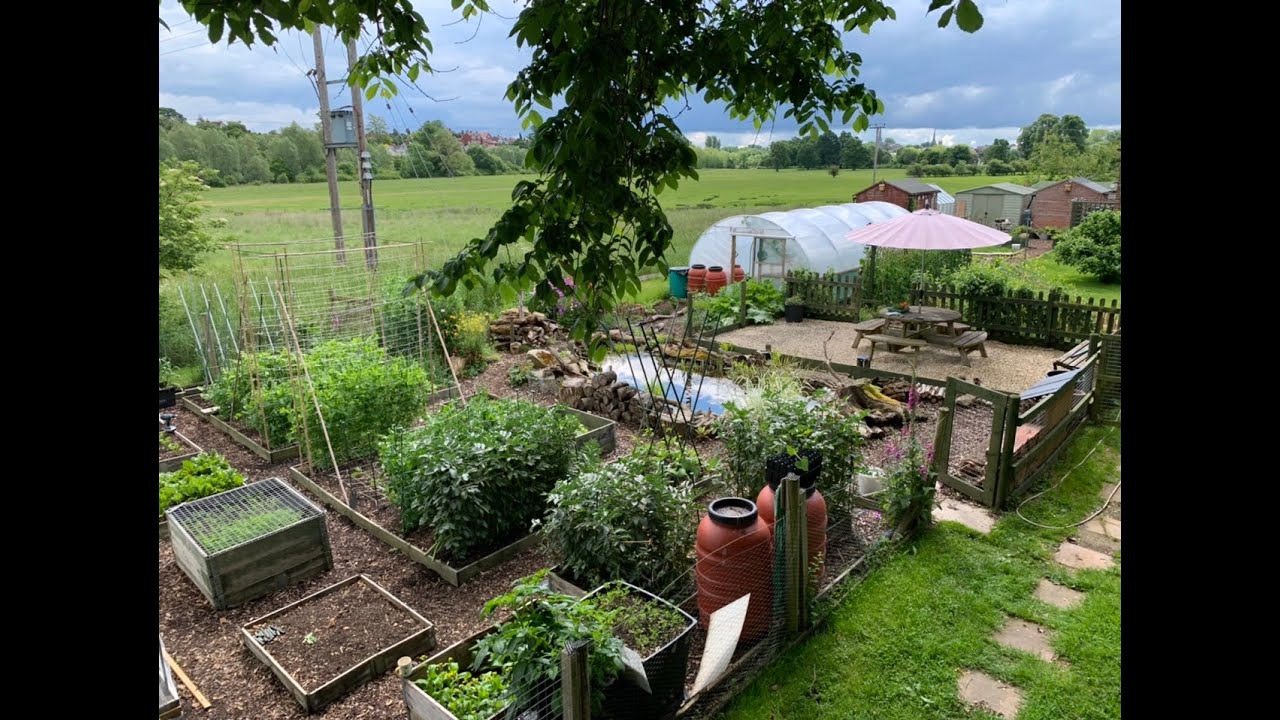 No:137 plot tour 1st June