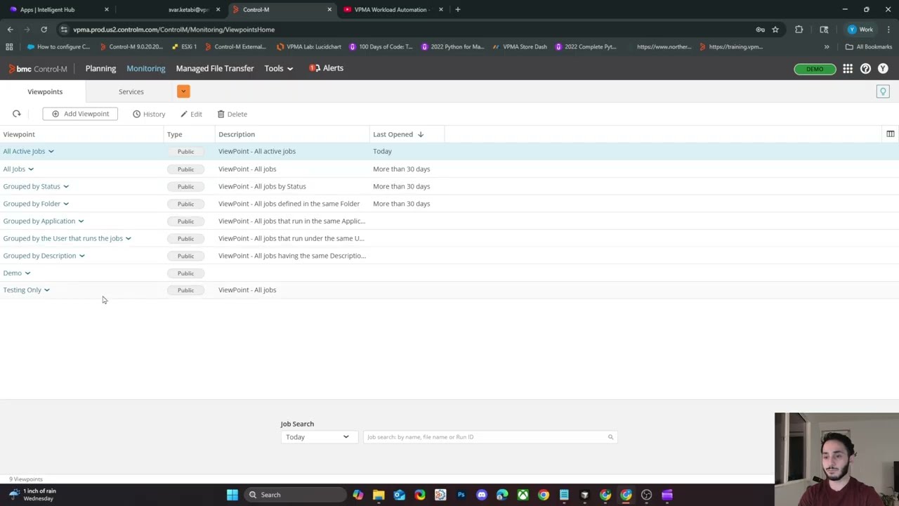 Control-M SaaS: Custom Private Viewpoints