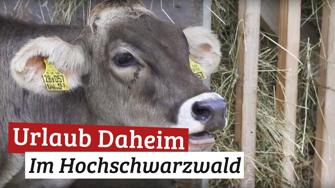 Urlaub daheim im Hochschwarzwald (13. bis 19. Mai 2019)