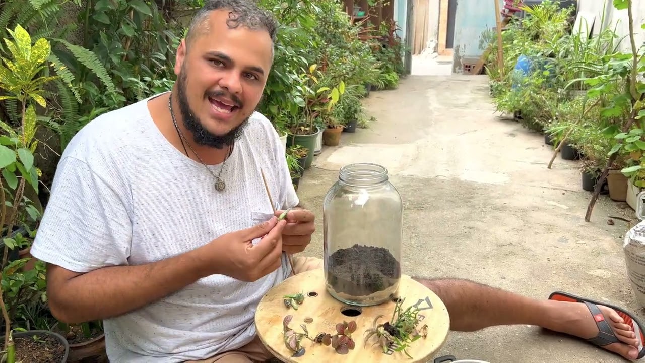 Montando um Terrário