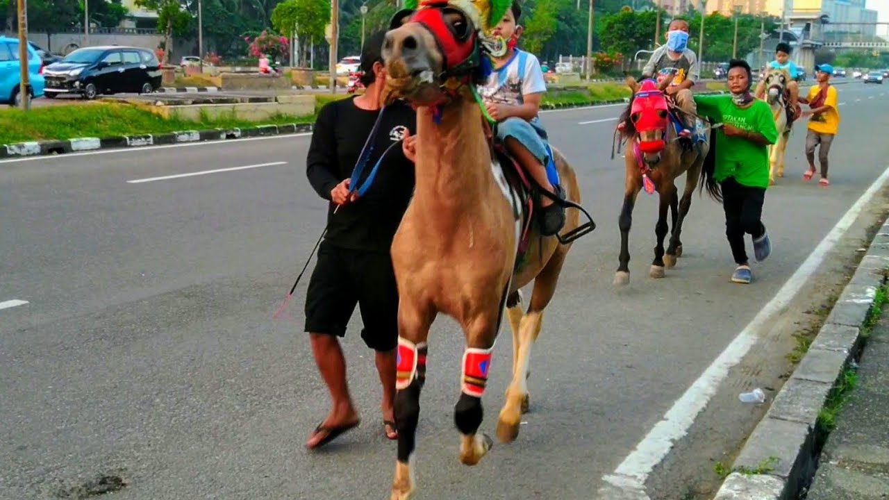 KUDA LARI KENCENG BALAPAN : lagu anak naik delman, 24 Juni 2020, kuda delman, kuda