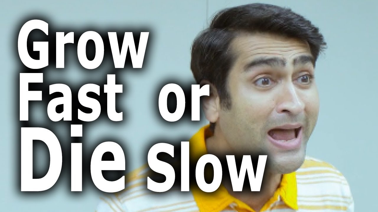 Silicon Valley Season 5, Ep1 - Grow fast or Die Slow