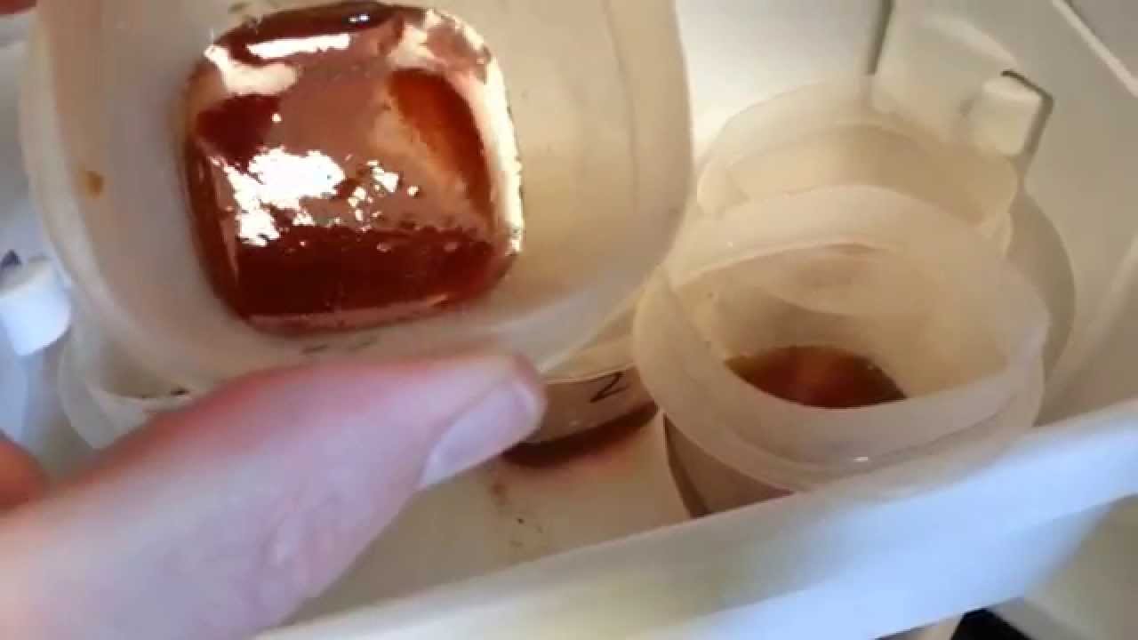 Experiments for Kids - Honey and Water Solutions