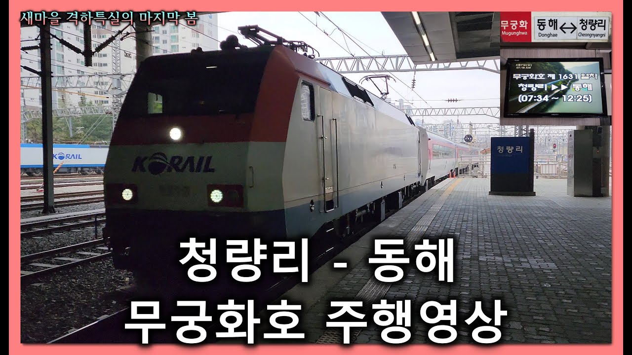 [철도]청량리발 동해행 무궁화호(#1631) 청량리-동해 우측 주행영상