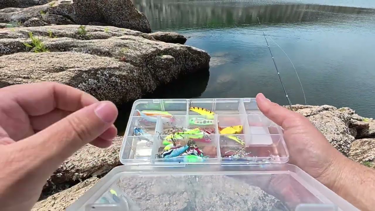 Edirne süloğlu barajı 🐟