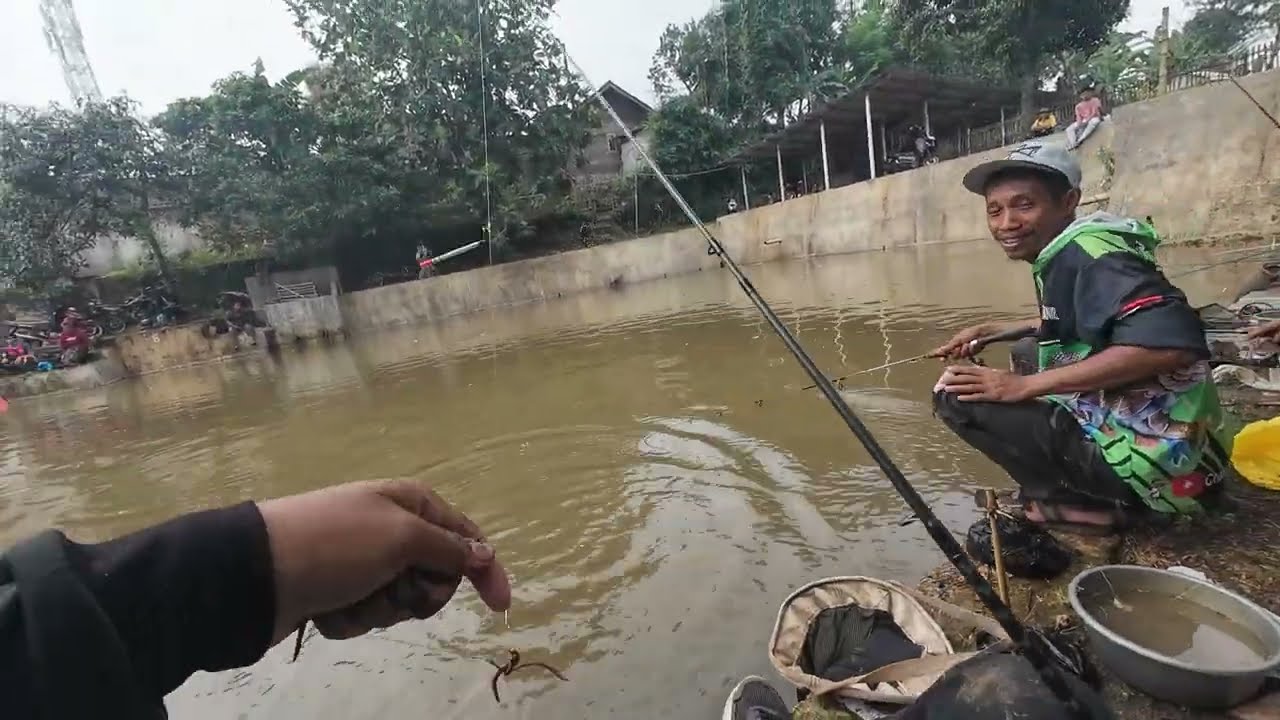 Mancing Borongan Harga 11,5 juta Bawal Umpan Tempe VS Cacing