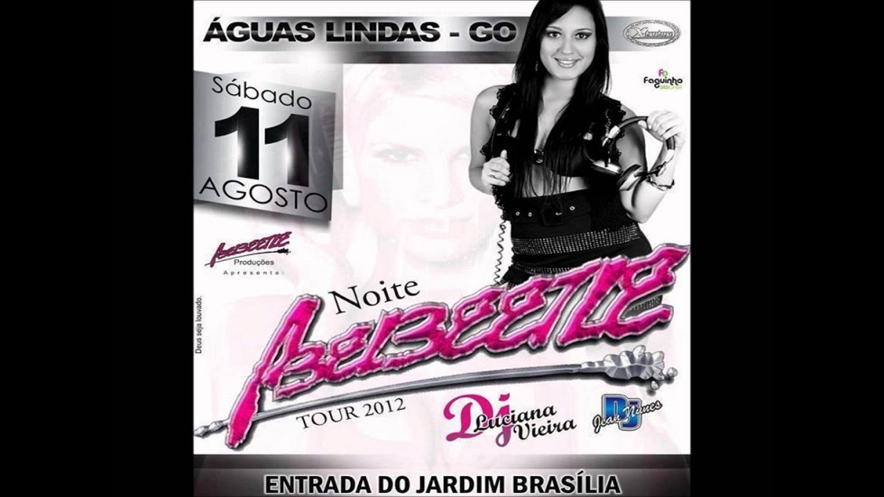 06- Abelbeetle 2012 em Aguas Lindas de Goias.