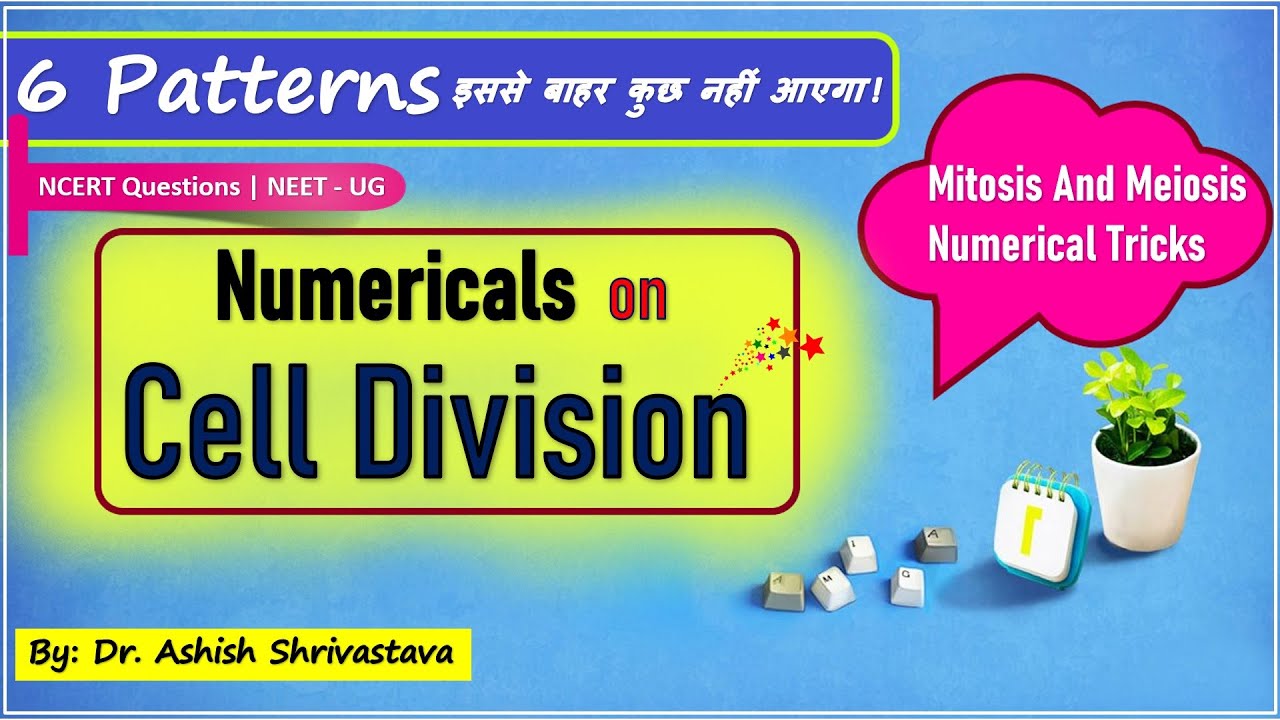 Numericals On Cell Division | Mitosis And Meiosis Numerical Tricks | NCERT Questions | NEET -  UG