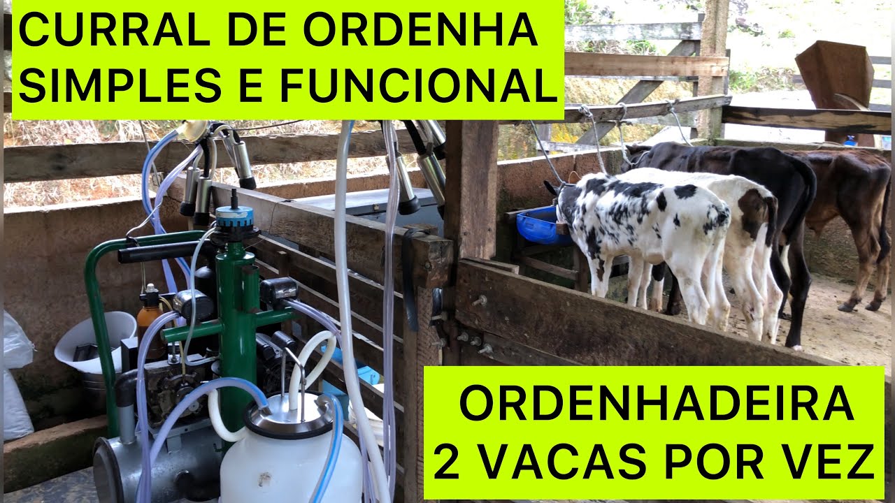 CURRAL DE ORDENHA SIMPLES E FUNCIONAL, 2 VACAS POR VEZ, COM ORDENHADEIRA MÓVEL.