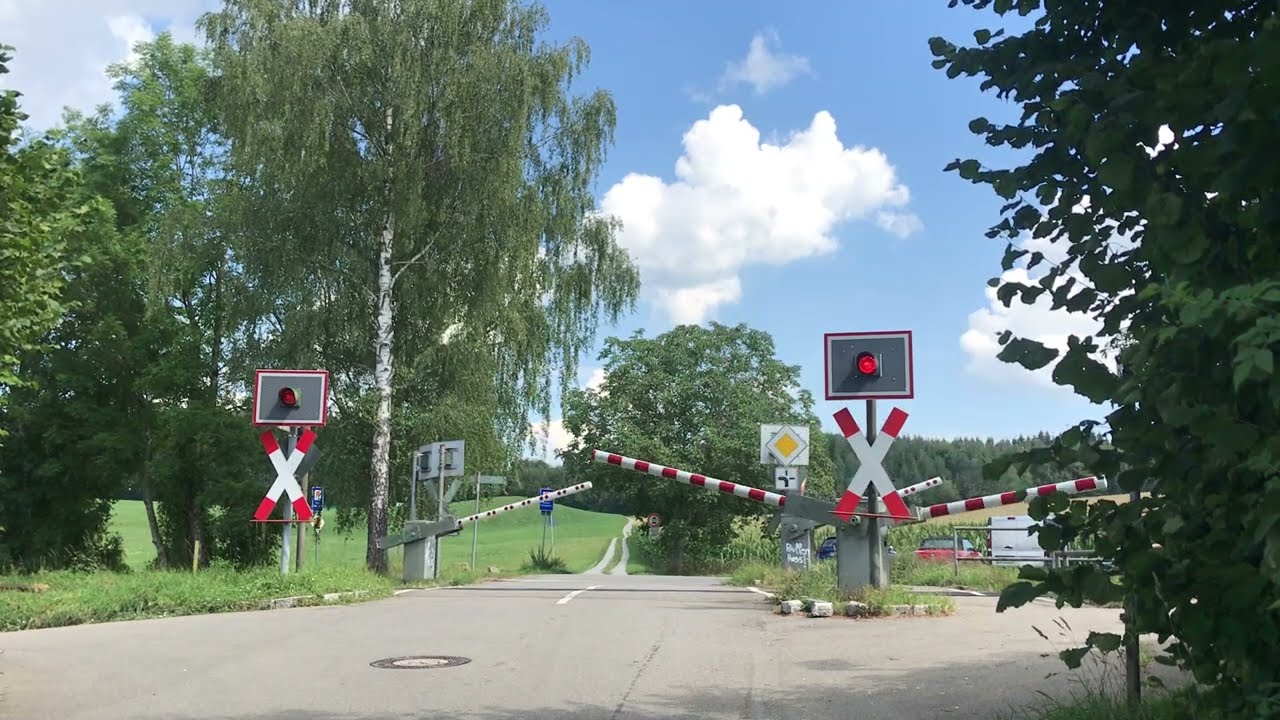 Lo 1H/57 Alttann Birkenallee