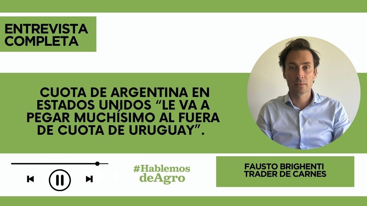 Fausto Brighenti – Trader de carnes