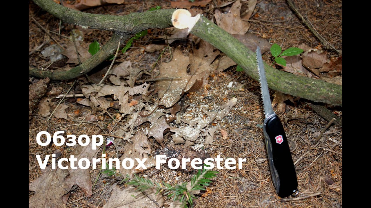 Обзор мультитула Victorinox Forester