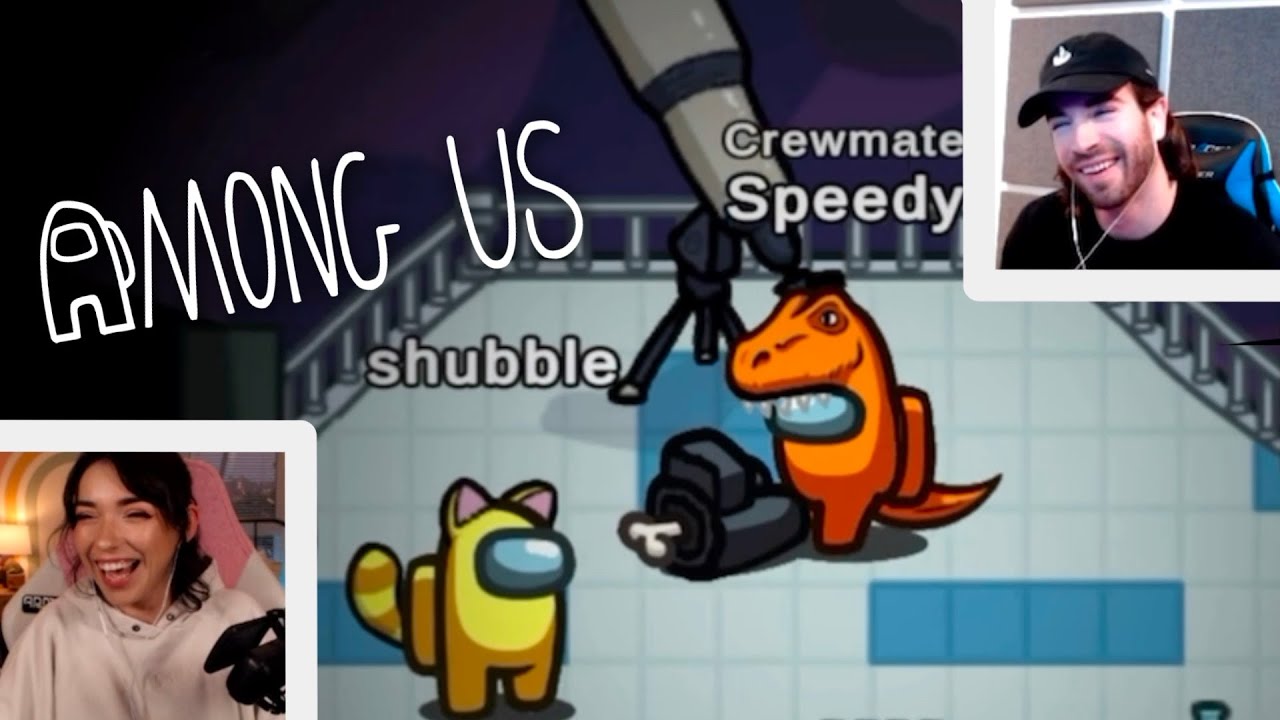 Shubble & Speedy being so adorable it made my hamsters knees weak