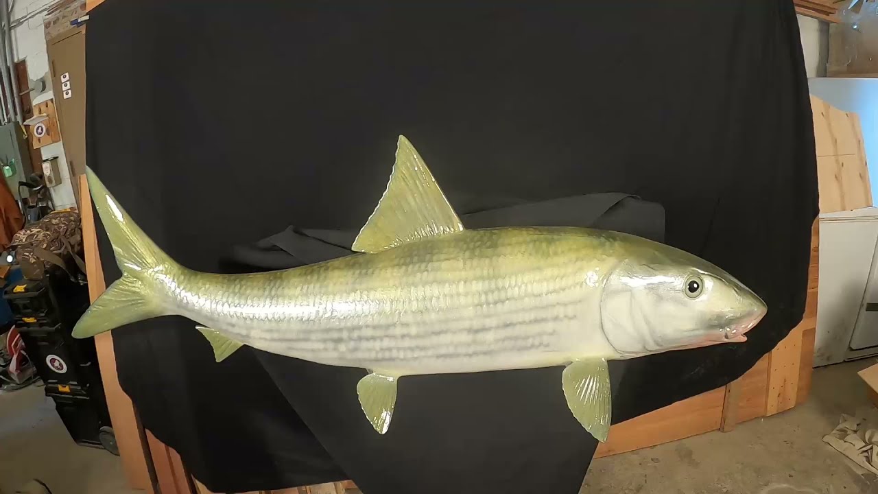 Painting a Bonefish reproduction | Replica Fish Taxidermy | Jonas Brothers Taxidermy Studio New York