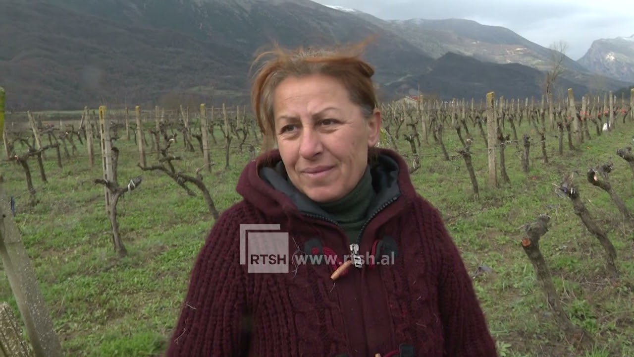 Bujqësia dhe dashuria për tokën -  Besnik dhe Durime Murataj nga Piskova të përkushtuar në vreshtari