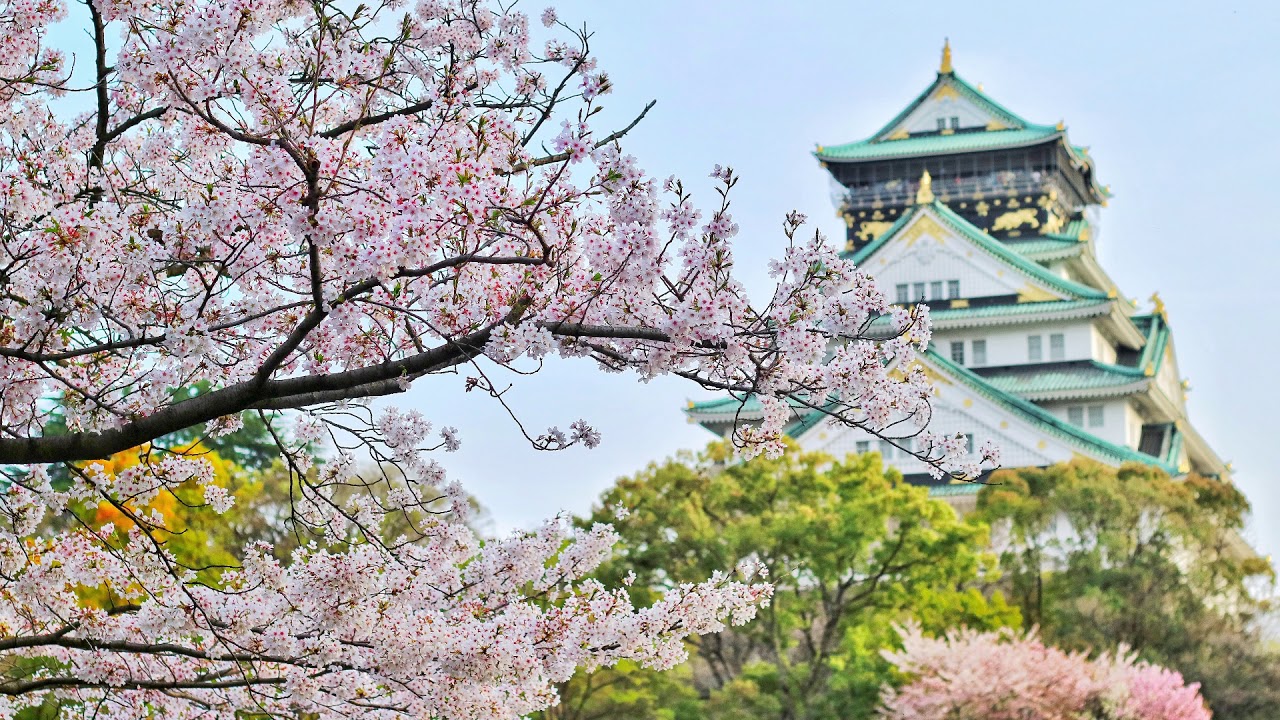 1 Hour Beautiful Japanese Music for Relaxing, Studying, & Sleeping