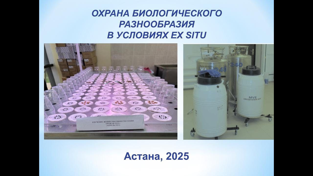 Лекция 25-8-1. Охрана биологического разнообразия в условиях ex situ. Елена Кизилова