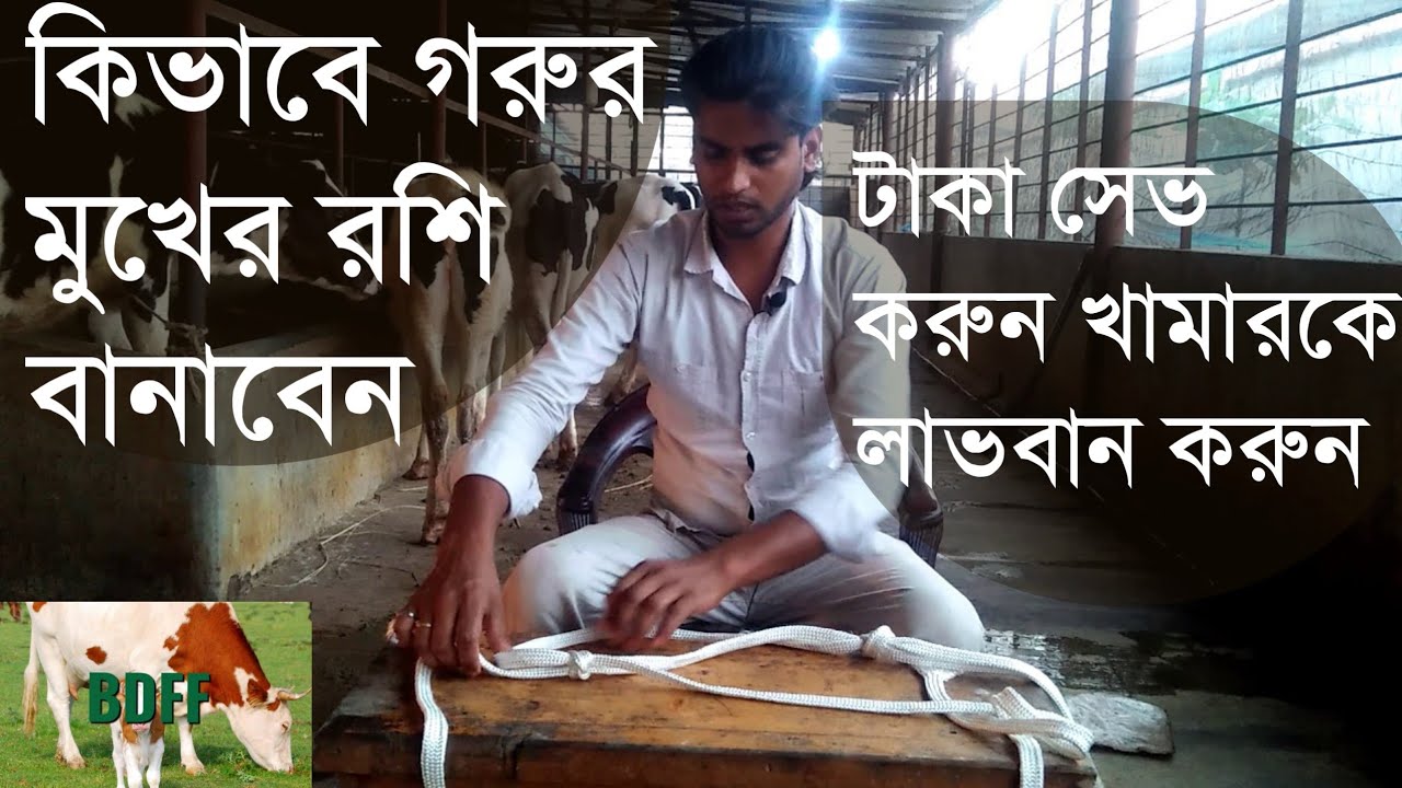 গরুর মুখের রশি বানাবেন কিভাবে..