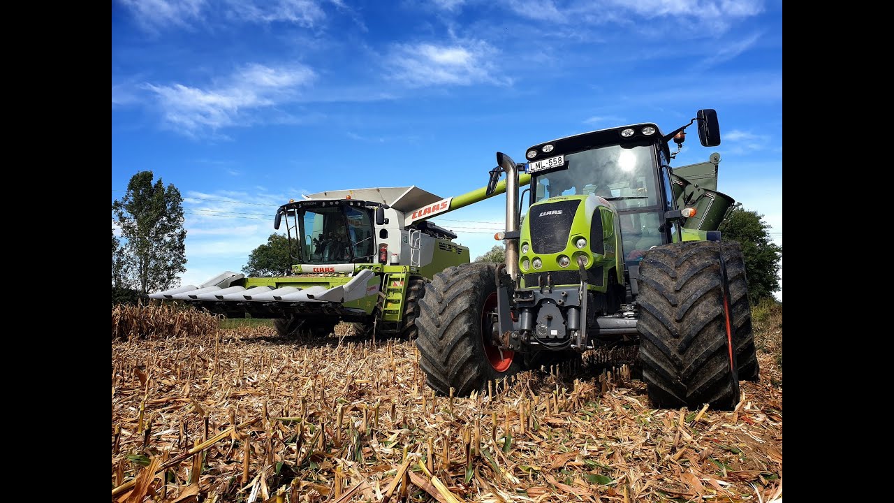 Agro Bükkösd Kft. Claas Lexion 660, Arion 540, Axion 850 Corn Harvest/Kukorica aratás
