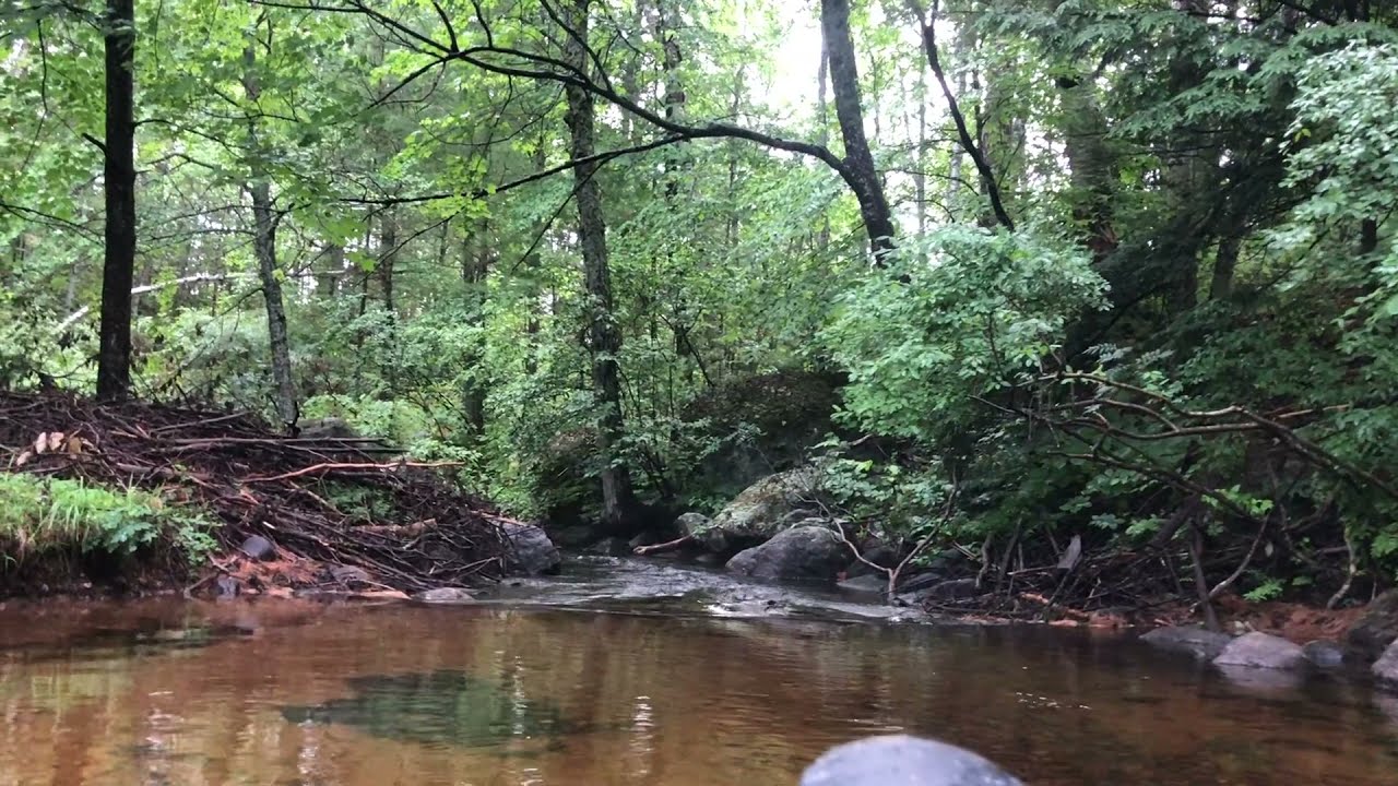 Rollins Pond to Floodwood Pond - Paddling through the outlet in Old Town Pack Canoe