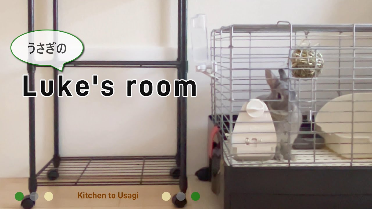 【うさぎのお部屋紹介】好きなペレット／お掃除グッズ／走る／寝る