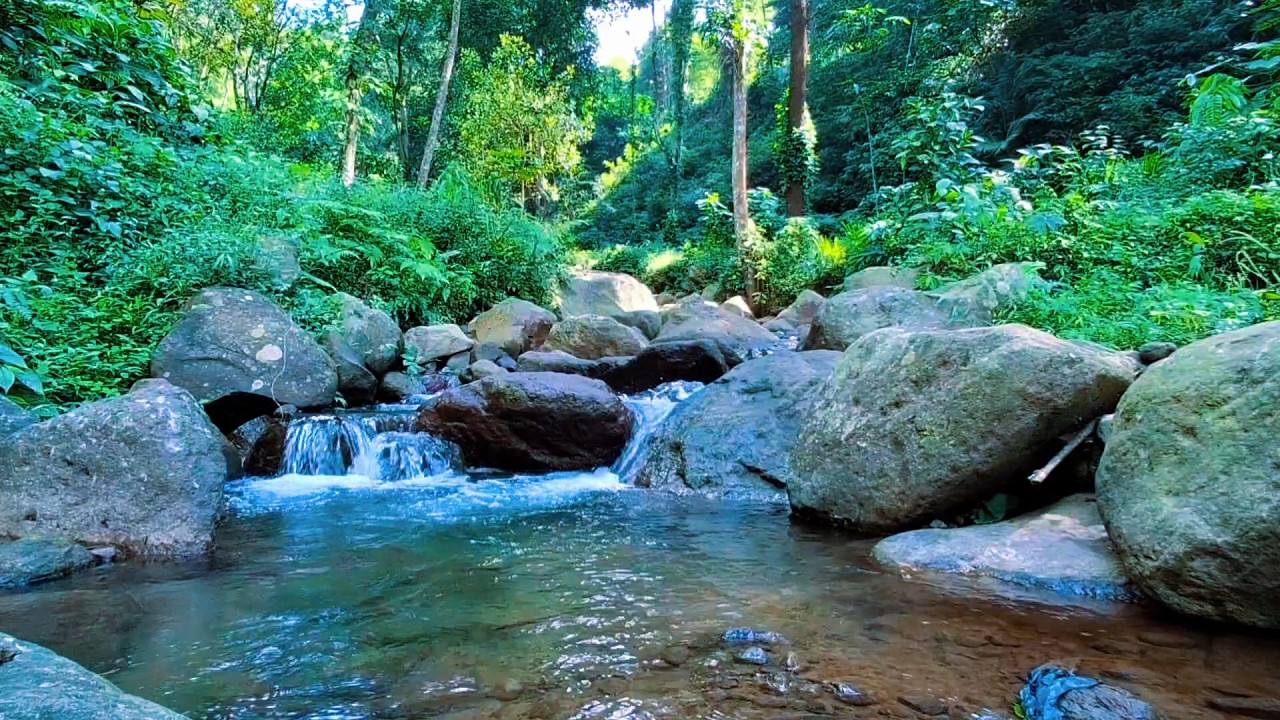 Soft River Flow for Mental Relaxation
