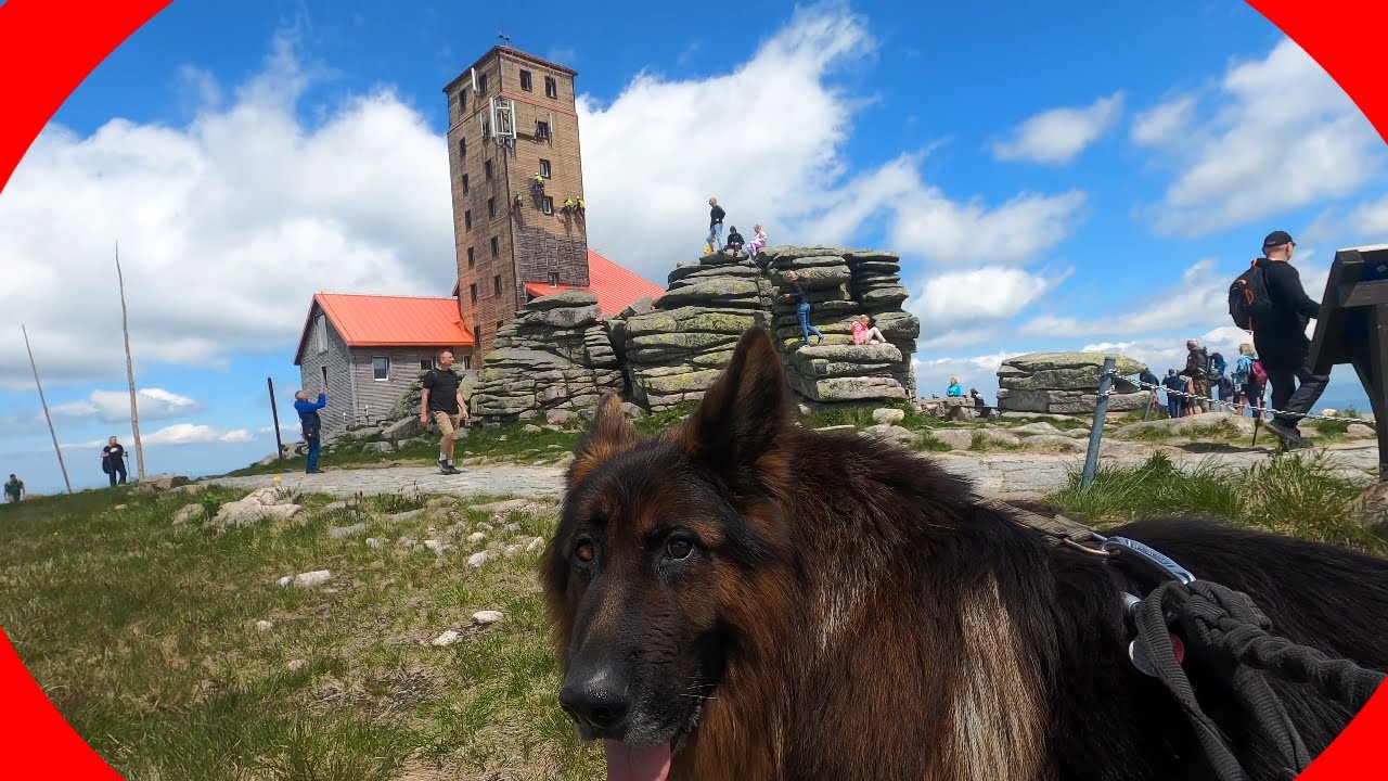 Major w Karkonoszach - Śnieżne Kotły i Wielki Szyszak