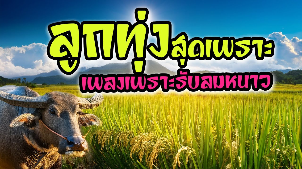 ลูกทุ่งสุดเพราะ เพลงเพราะรับลมหนาว