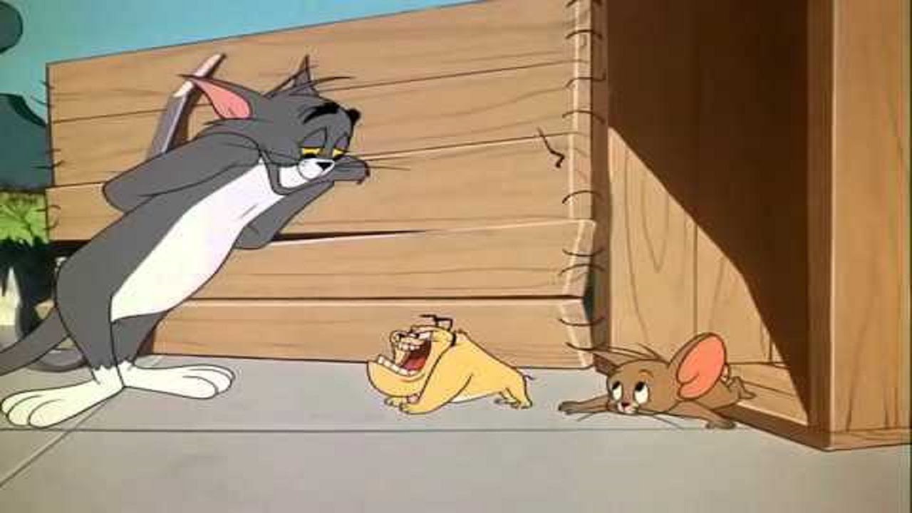 Tom and Jerry | Tom and Jerry and Spike | The Cat's Me Ouch