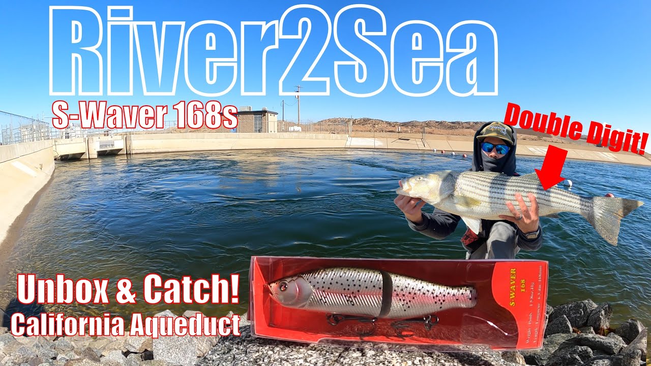 River2Sea S-Waver | Unbox & NEW PB Striped Bass Catch (California Aqueduct, 2022.)