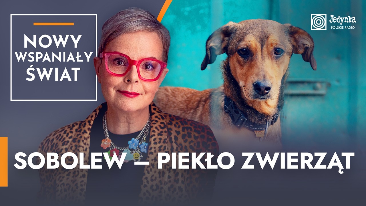 Najsmutniejsza prawda o polskich 