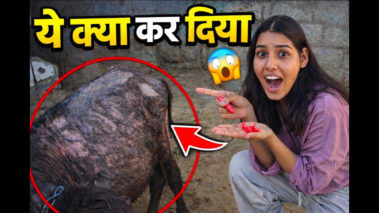 Ye Kya Kar Diya 🤣🤣#SahilDailyLens