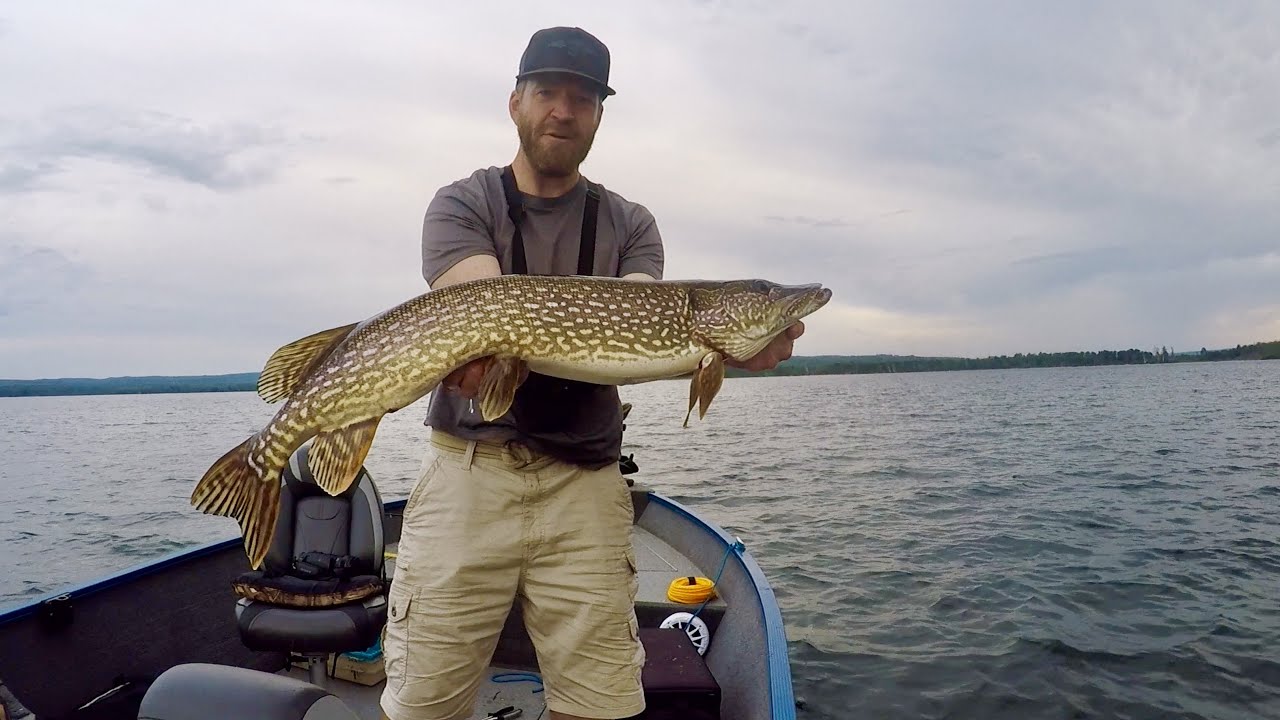 Part 1 of 2 | Fishing for Giant Pike | How to Find Trophy Fish