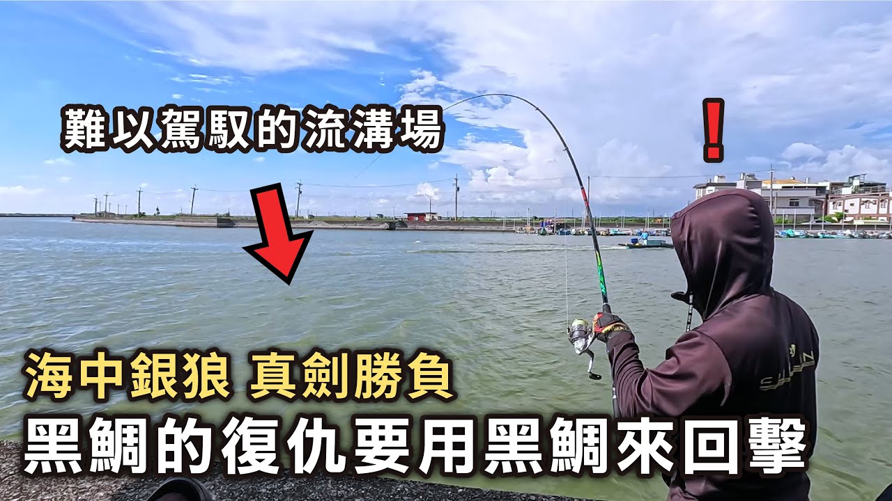 黑鯛的復仇要用黑鯛來回擊 面對最艱難的釣場︱流速快高難度場域探釣︱磯釣︱黑鯛︱黃鰭鯛︱全游動︱チヌ
