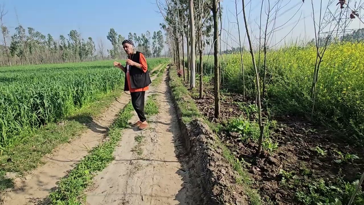 Ramesh dutt🌈🌈🎉🎉🌈🌈 Mukesh saab ki sureeli yatra 🌷❤️🌷 aashiq baharon ka🦚💚 chaand sitaron ka  🌟🌟🌝🌟🌟🌷🌹🌹🌷