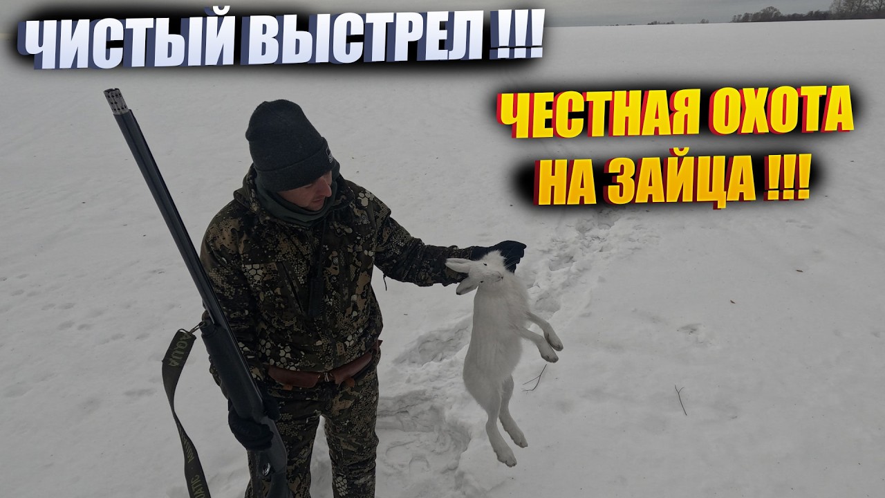 БЕШЕНЫЙ ЗАЯЦ ВЫСКОЧИЛ НА ВОЛОДЮ ПОД ВЫСТРЕЛ
