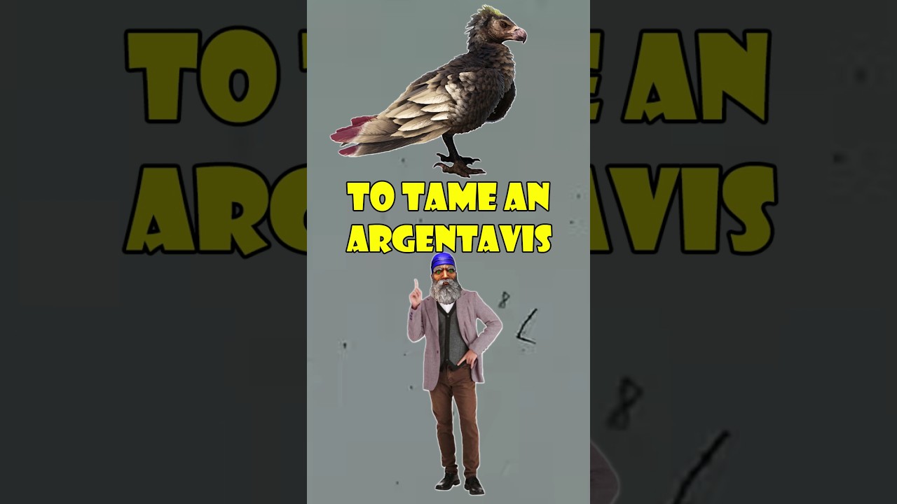 Ark Argentavis🦅