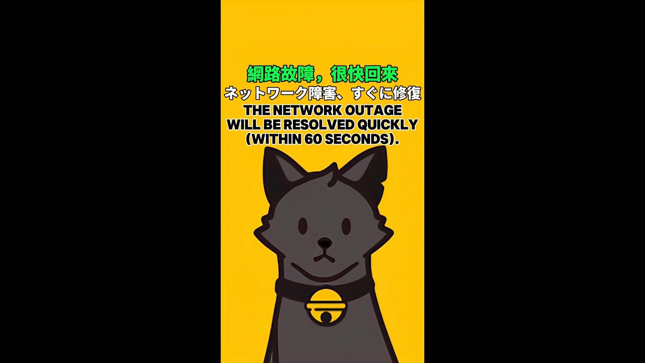 A Cat's First-Person Perspective｜猫の一人称視点｜ 2026-01-11 