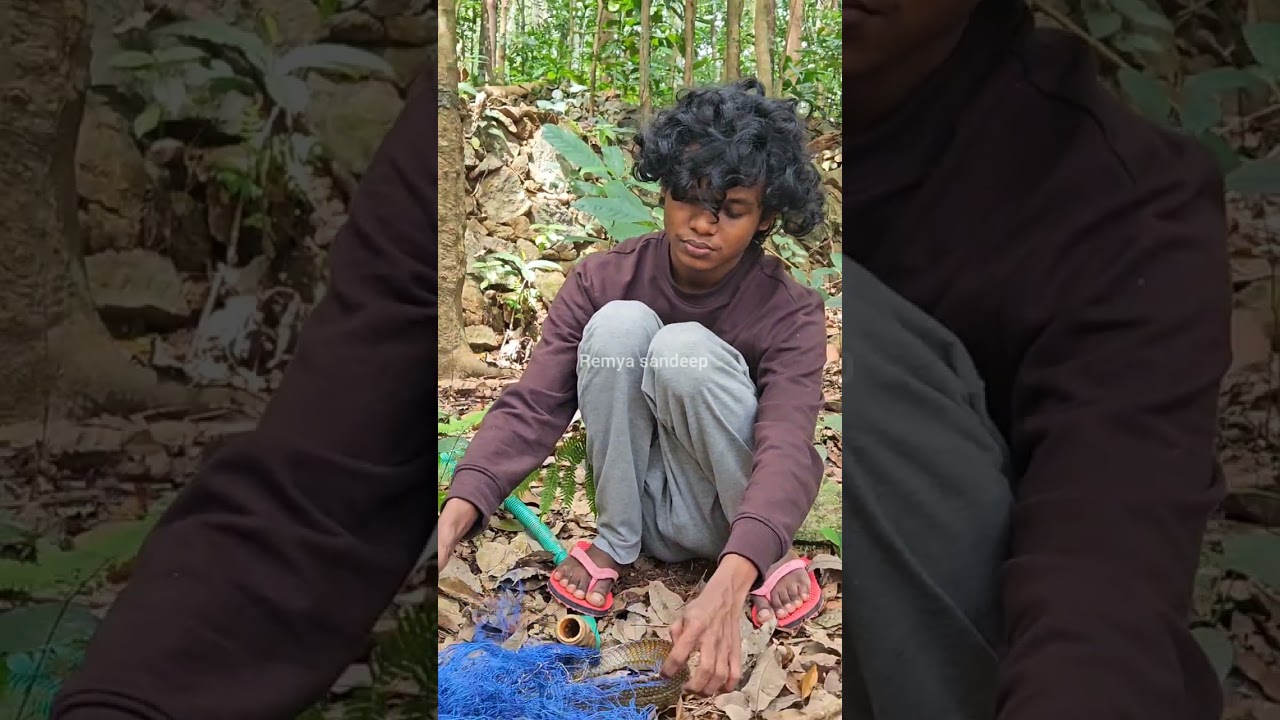 വലയിൽ കുടുങ്ങിയ പാമ്പിനെ രക്ഷിച്ച് യുവാവ്| അപാര ധൈര്യം തന്നെ | Snake Rescue|