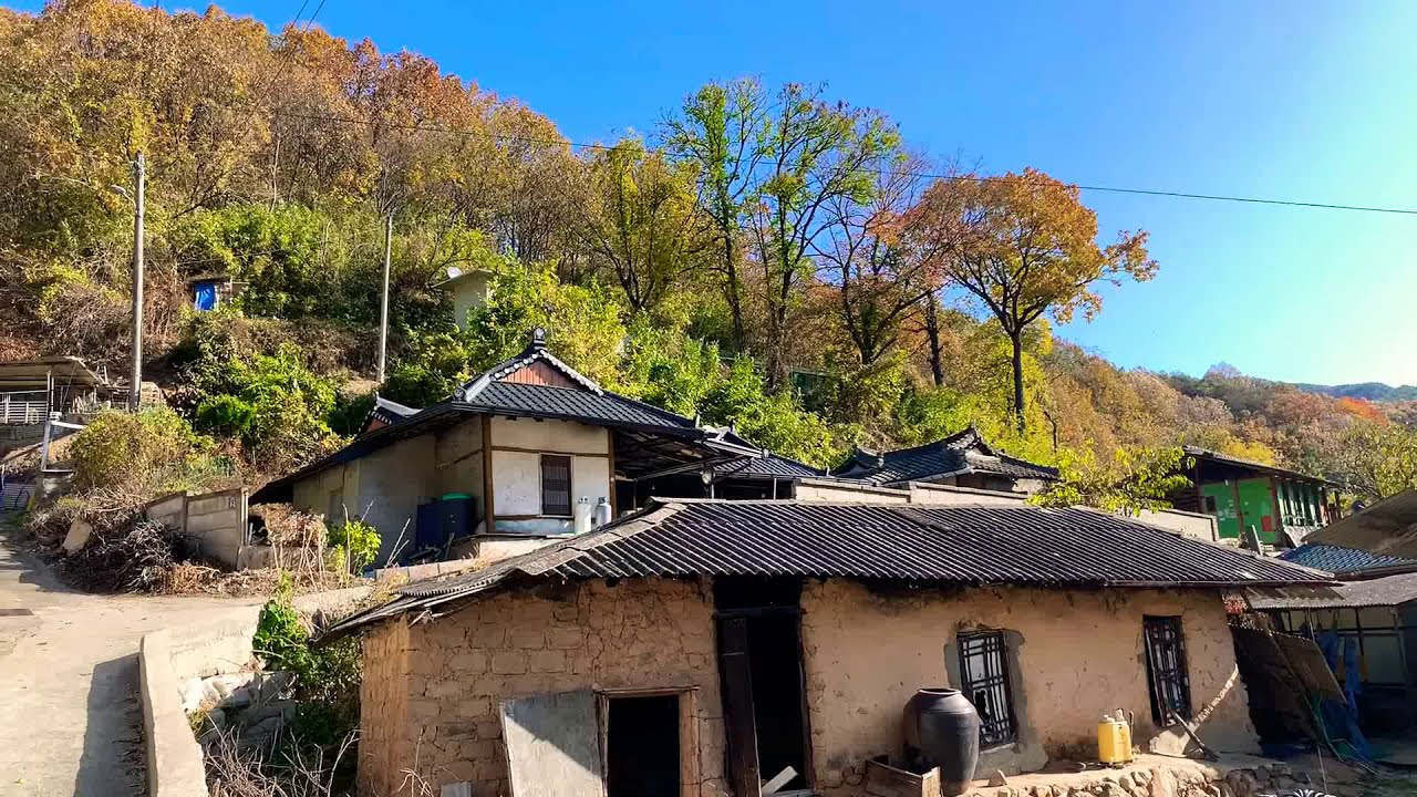 [안동 마을구경] 임동면 박곡리 상박실마을