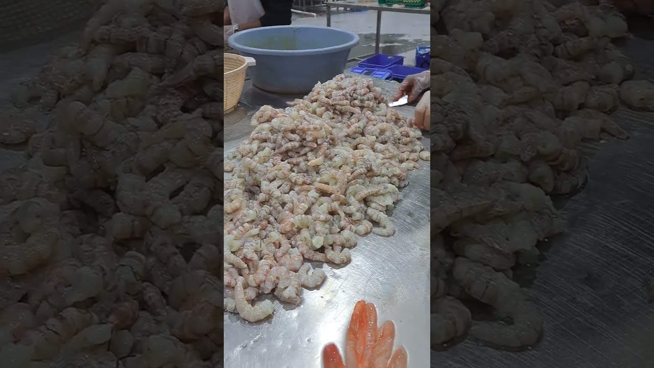 Prawn factory,prawn processing,prawn Export,seafood processing