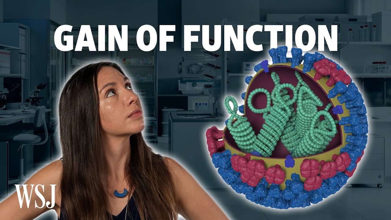 Supercharging Viruses? Gain of Function Research and the Hunt for Covid’s Origins